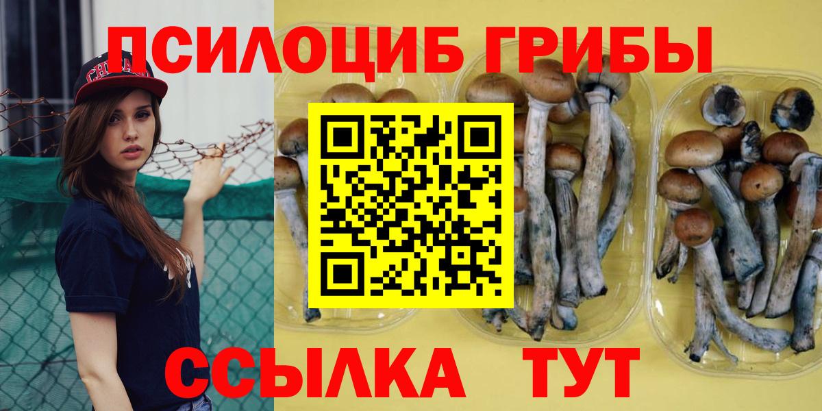 Псилоцибиновые грибы Cubensis  Вход с VPN  Зерноград 